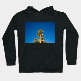 M A J E S T I C Hoodie